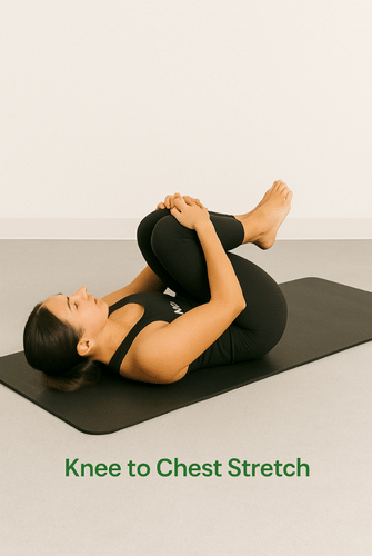 Knee to Chest Stretch