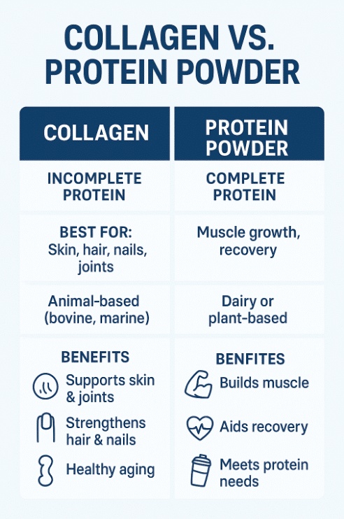 Comparison chart showing the differences between collagen and protein powder including benefits, sources, and uses.